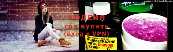 прущие грибы Арсеньев