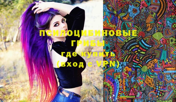 индика Армянск
