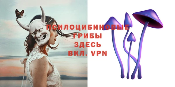 прущие грибы Аркадак