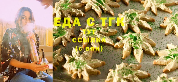 индика Армянск