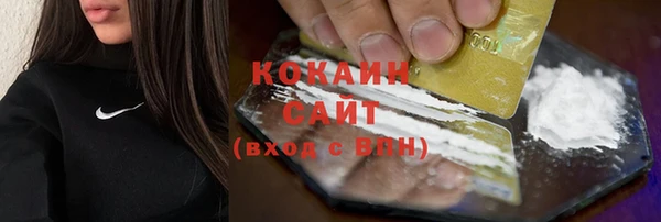 прущие грибы Аркадак