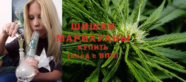 прущие грибы Арсеньев