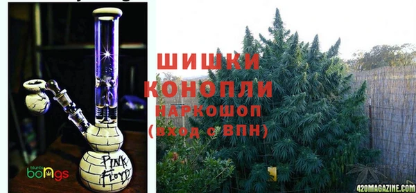 прущие грибы Арсеньев