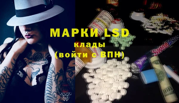 прущие грибы Арсеньев
