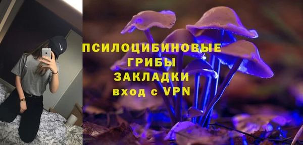 прущие грибы Арсеньев