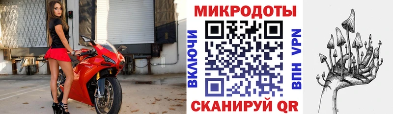 Купить где Сясьстрой Псилоцибиновые грибы Magic Shrooms